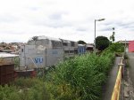 VLI 8439